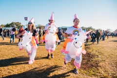 Experience_Voodoo17_JordanHefler-9734