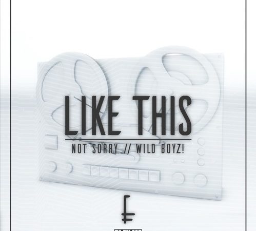 not sorry & Wild Boyz! - Like This [Play Me Records]