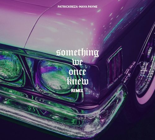 PatrickReza & Maya Payne - Something We Once Knew (Remix)