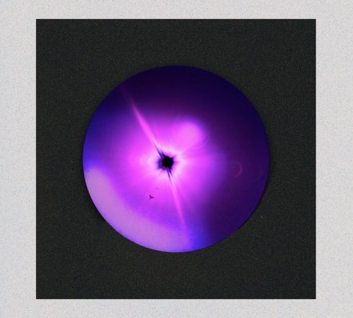 Parampara - Late Bloomers