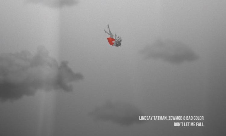 dont let me fall cover