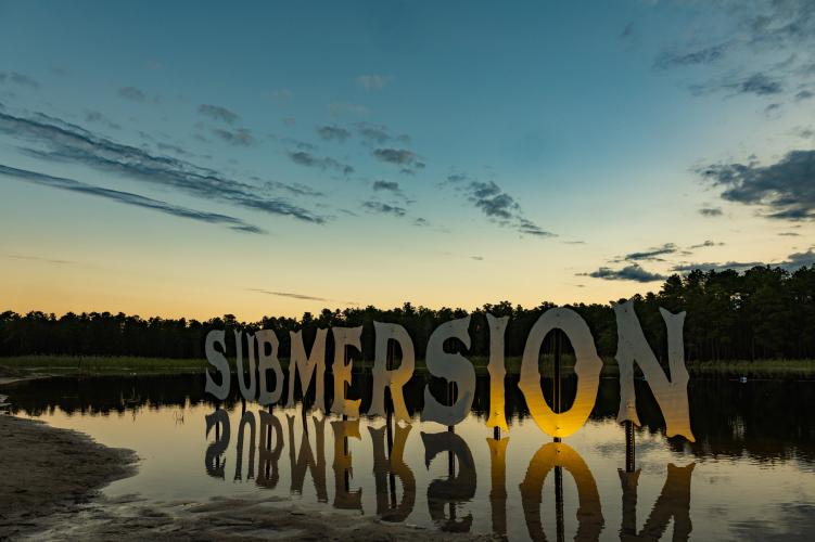submersion festival