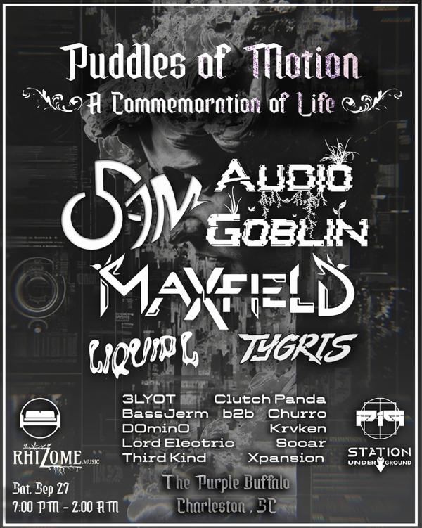 puddles of motion