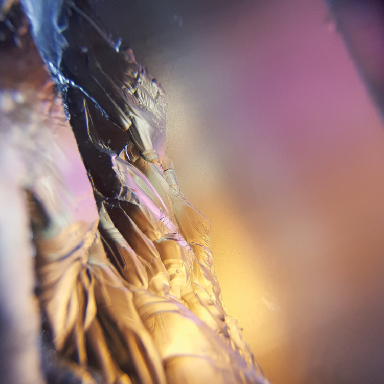 Intellects - Microverse