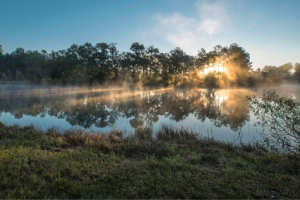 Woodlands Nature Reserve