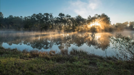Woodlands Nature Reserve