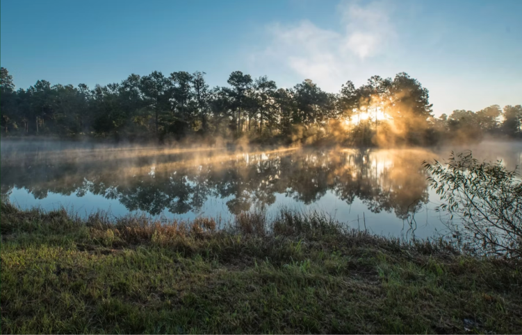 Woodlands Nature Reserve